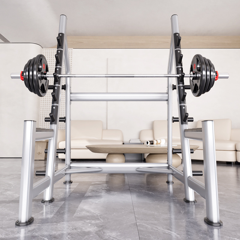 แร็คสควอทแบบ Power Cage, แร็คย - Heavy Equipment Lift บทวิจารณ์และราคา